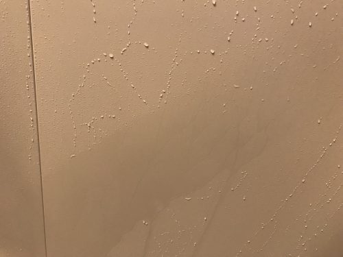 洗い流して石鹸カスが落ちた壁
